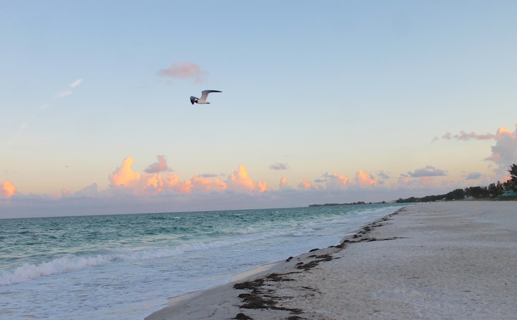 Sunset at Anna Maria Island beach in Florida. 