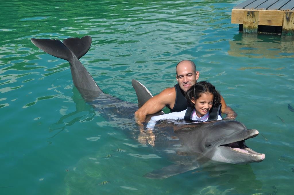 Swimming With Dolphins At Hawks Cay Resort in the Florida Keys