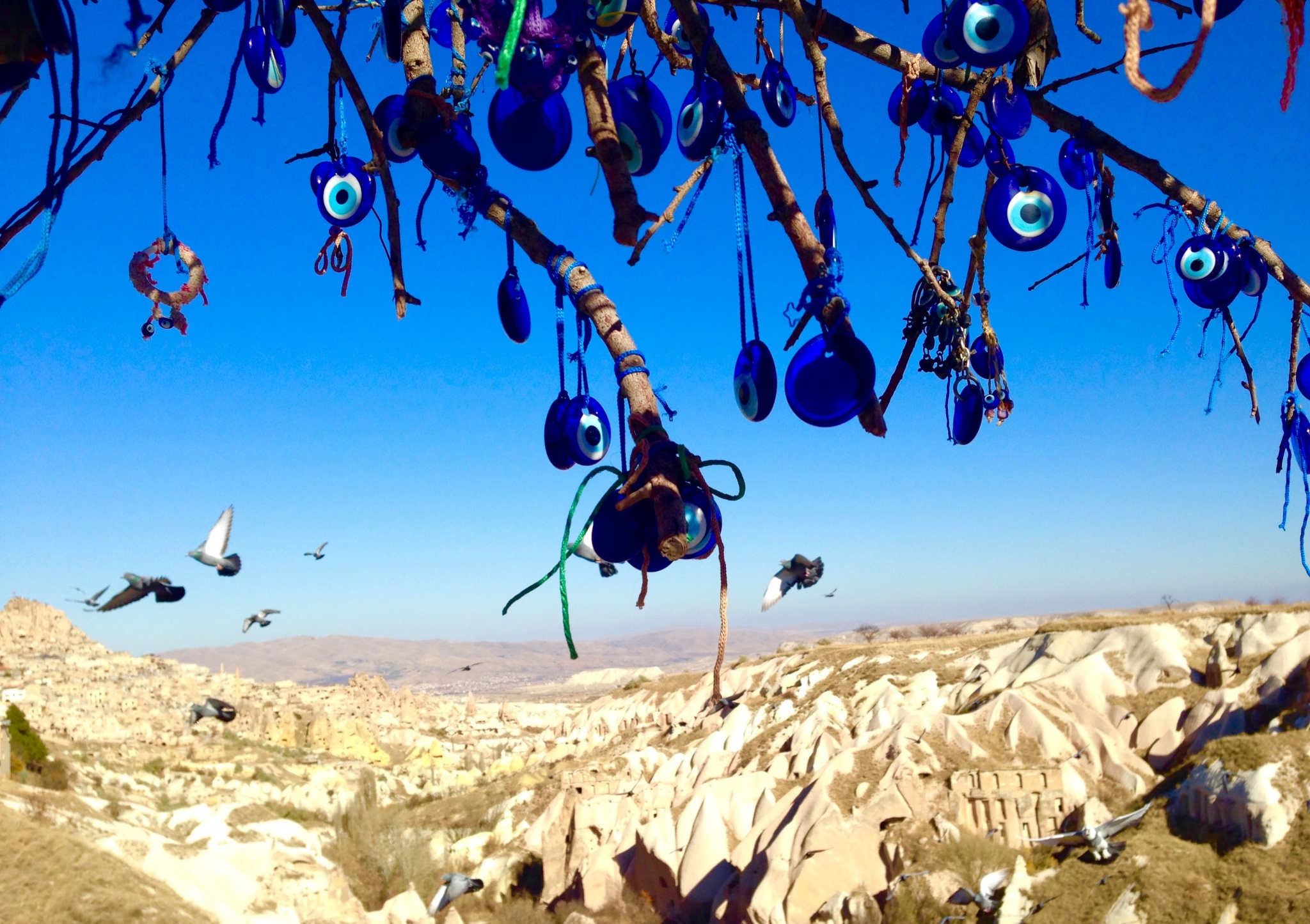 Pigeon Vallen in Cappadocia