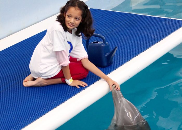 Clearwater Aquarium Hope dolphin interaction