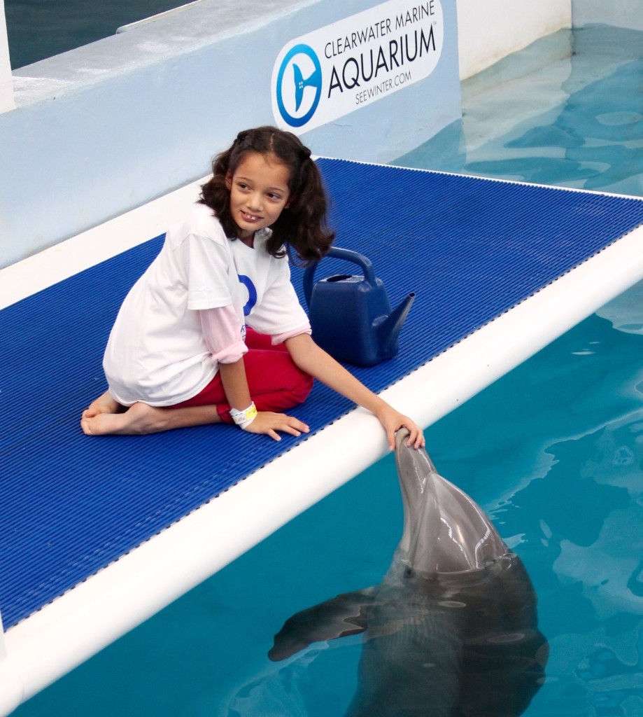 Meeting Hope at the Clearwater Aquarium