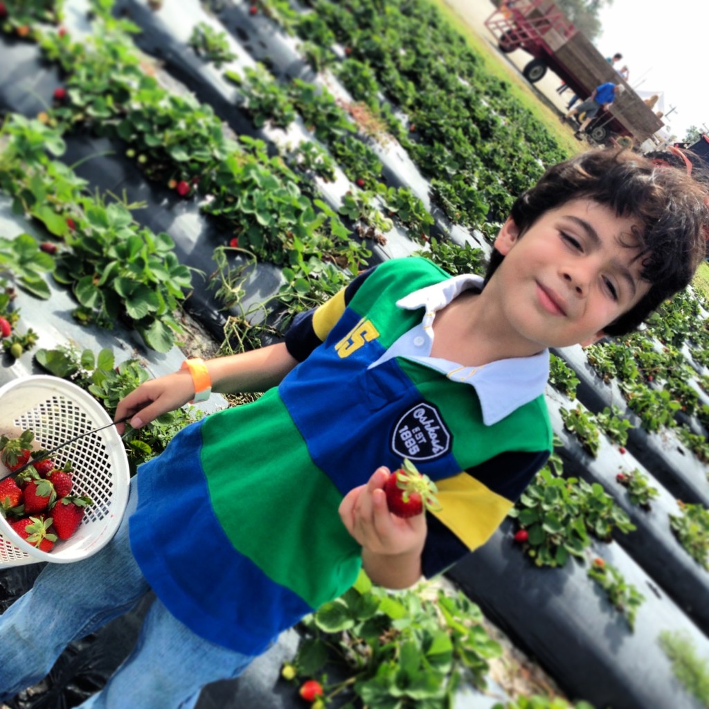 boy picking strawberries 