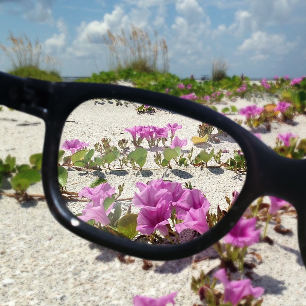 flowers on the beach seen through eyeglasses