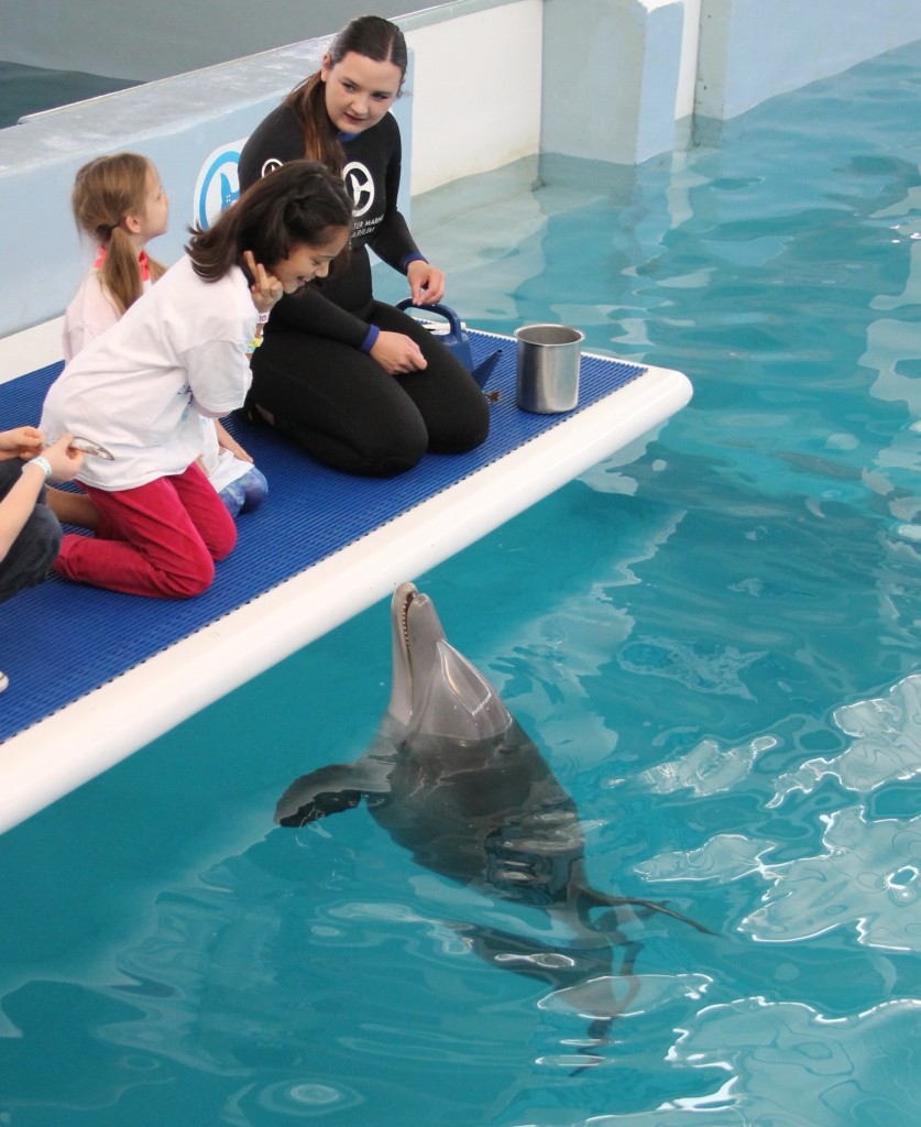 Meeting Hope at the Clearwater Aquarium