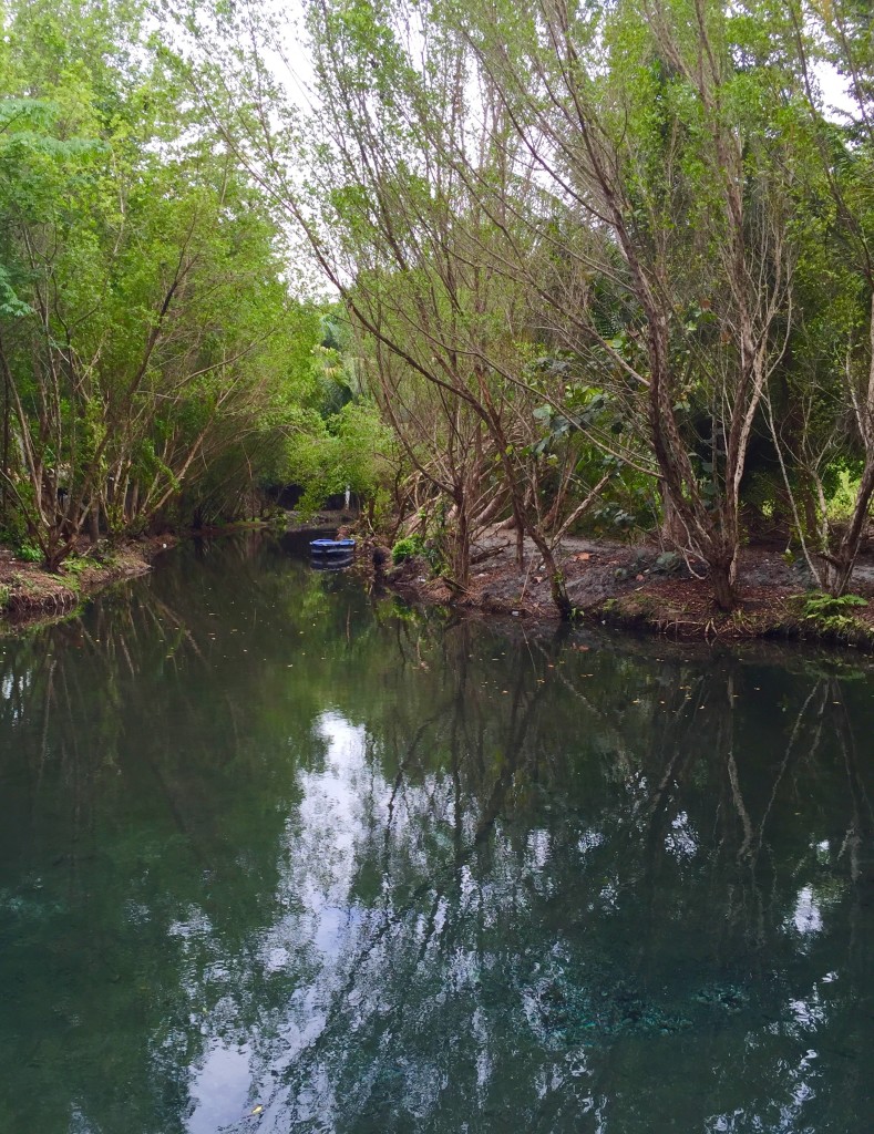 lagoon at the Cabarete caves in Puerto Plata