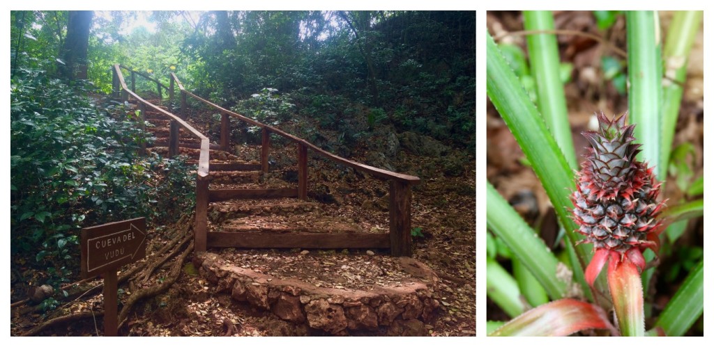 hiking to the cabarete caves in Puerto Plata