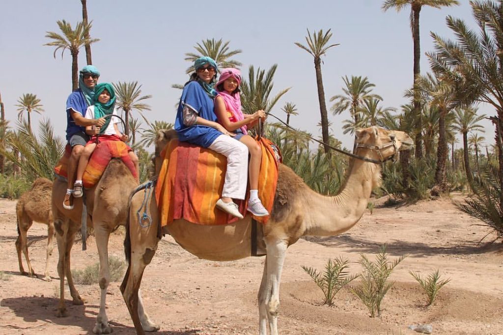 family riding camels in Morocco