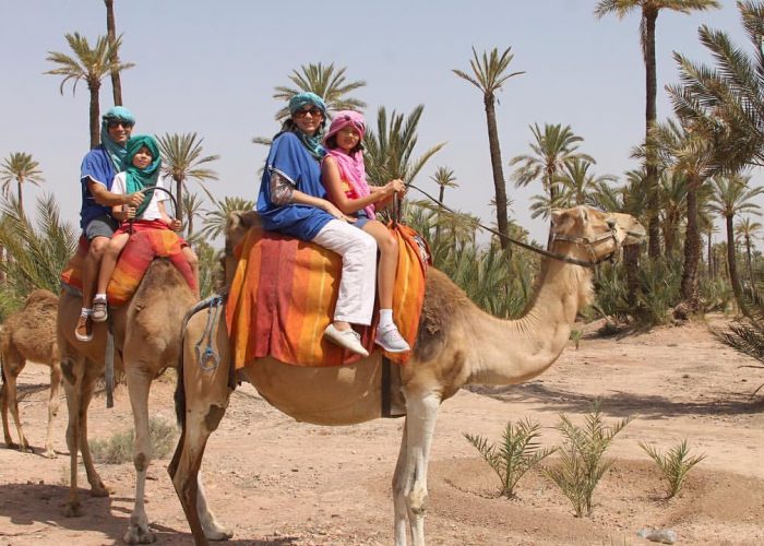 family riding camels in Morocco