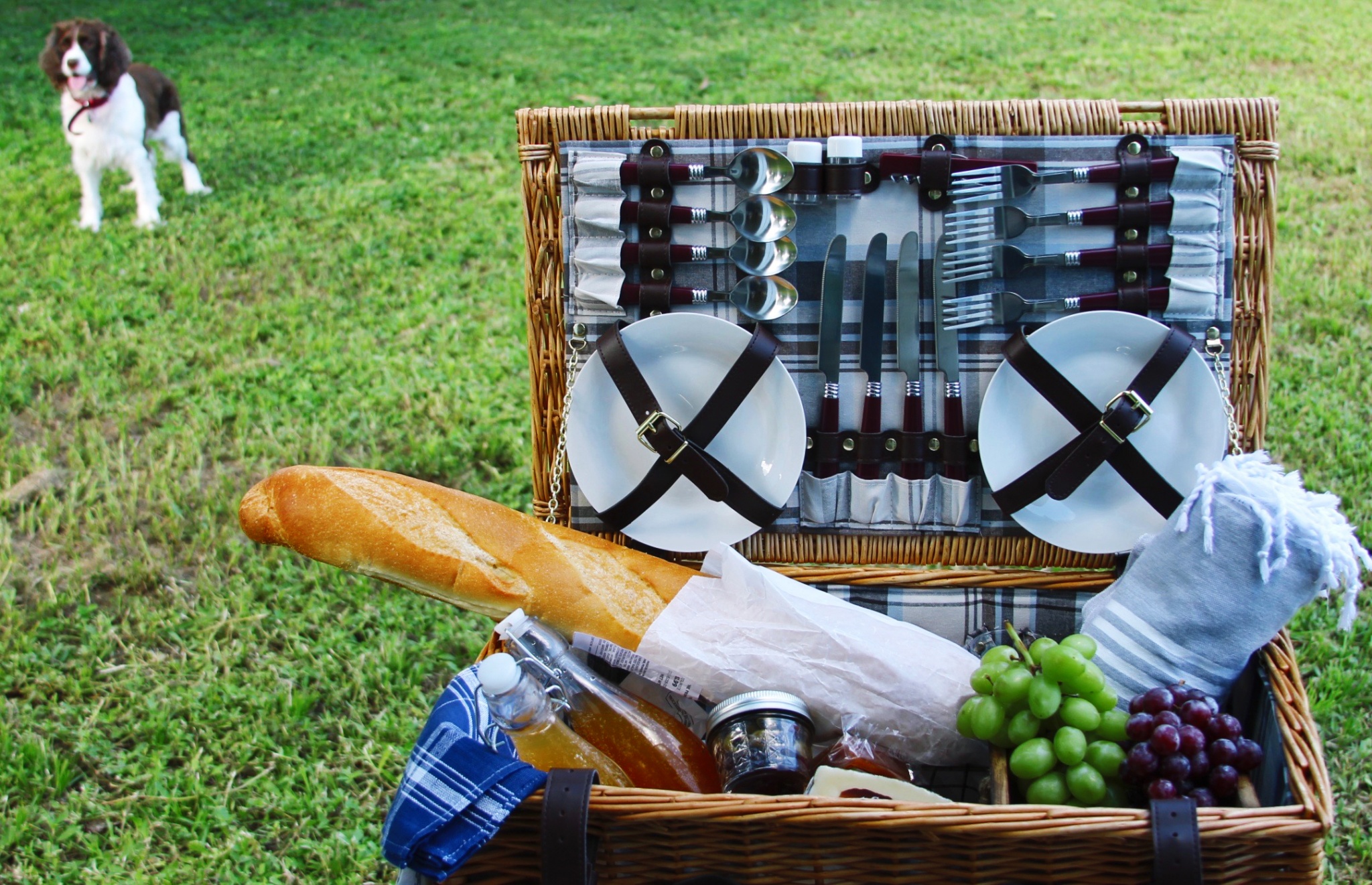 Latino inspired picnic basket