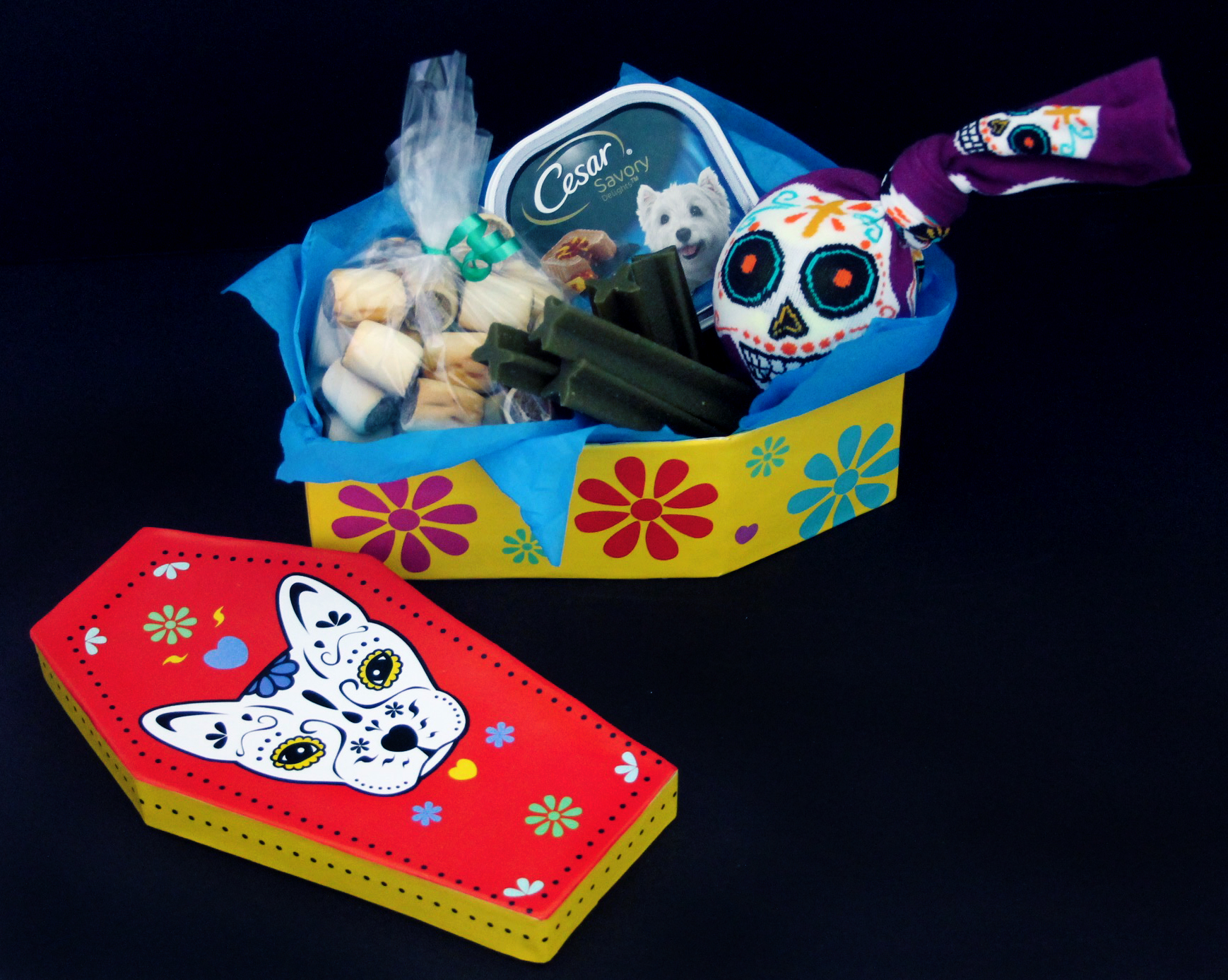 Day of the Dead dog sugar skull coffin gift box