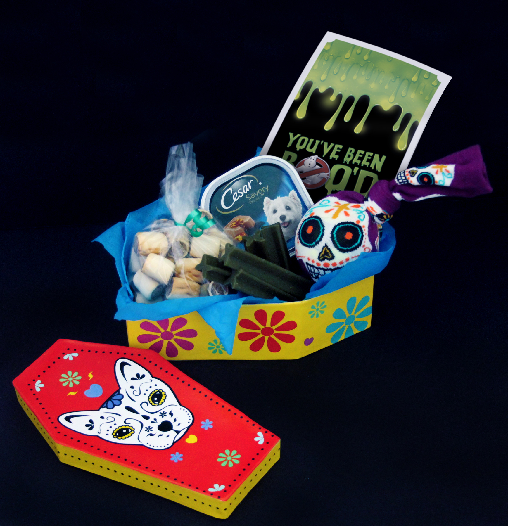 day of dead coffin gift box with dog treats