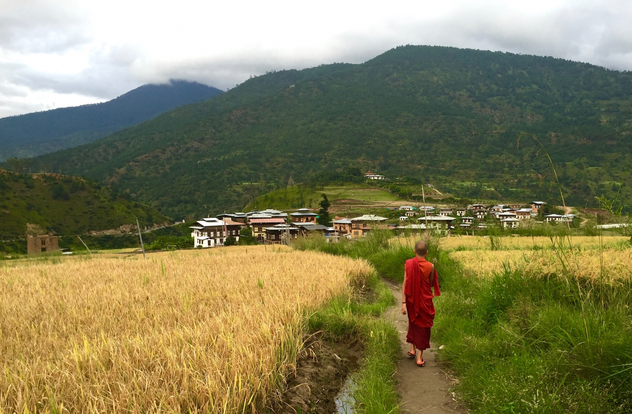 monk walking in Bhutan