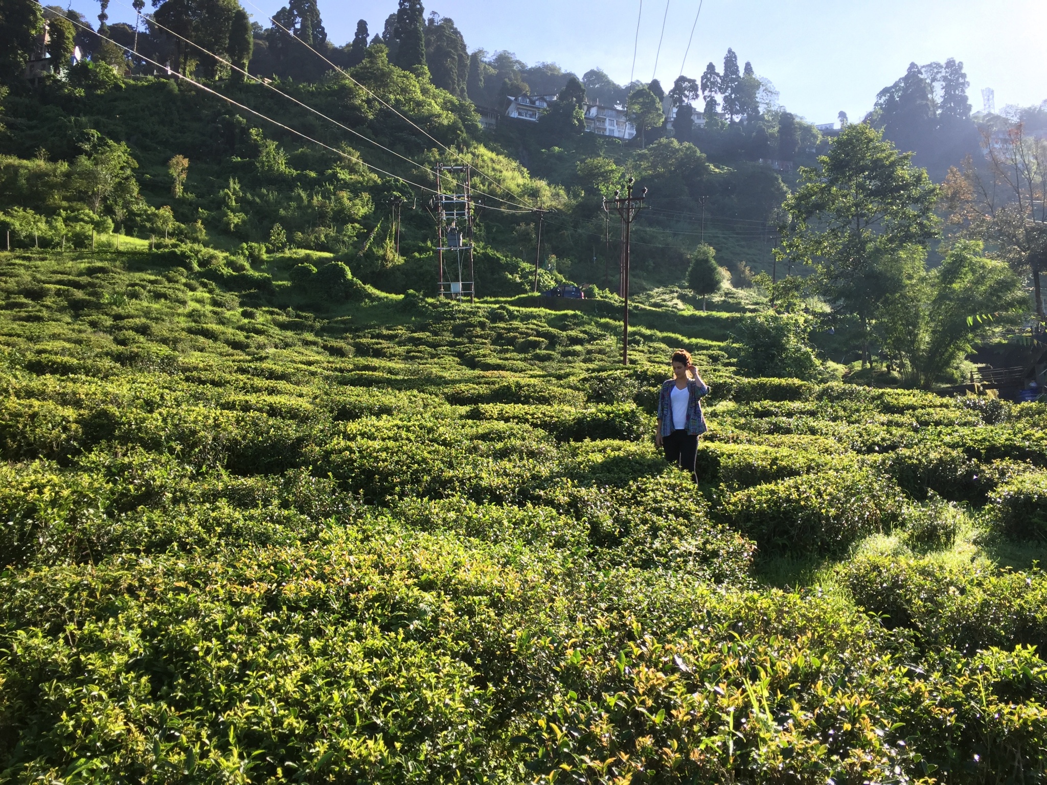 Darjeeling India