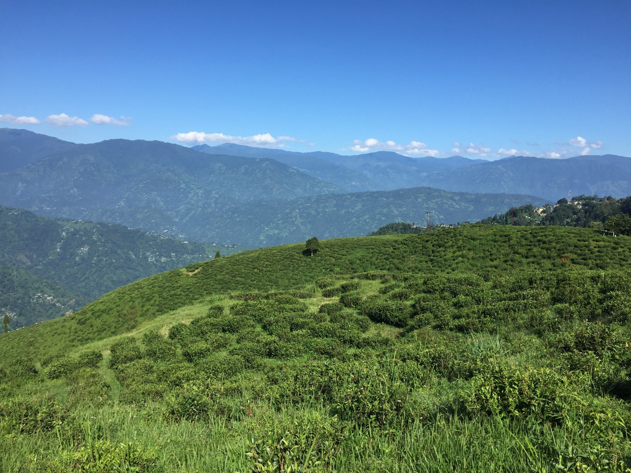 Darjeeling Queen of the Hills Station