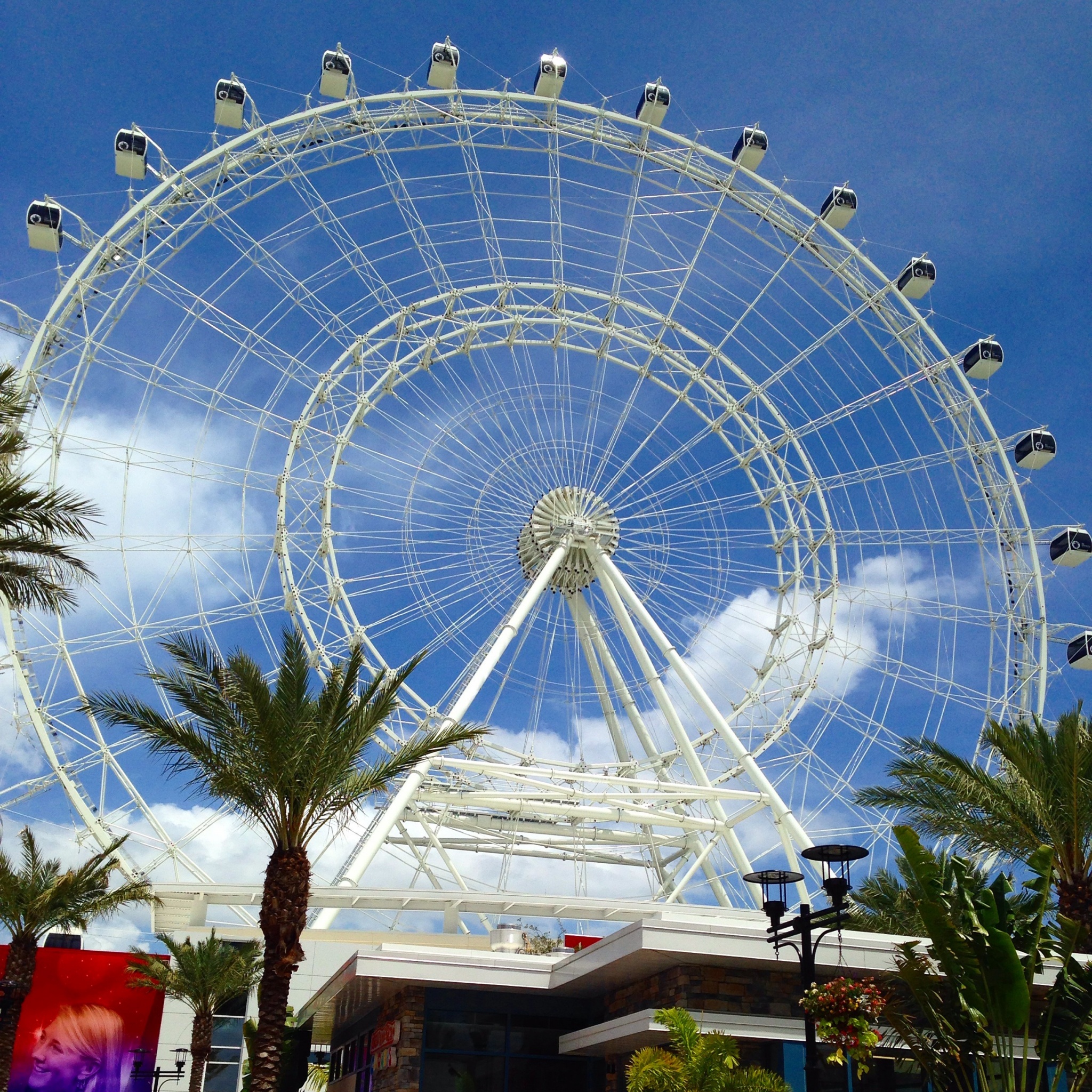 The Orlando Eye