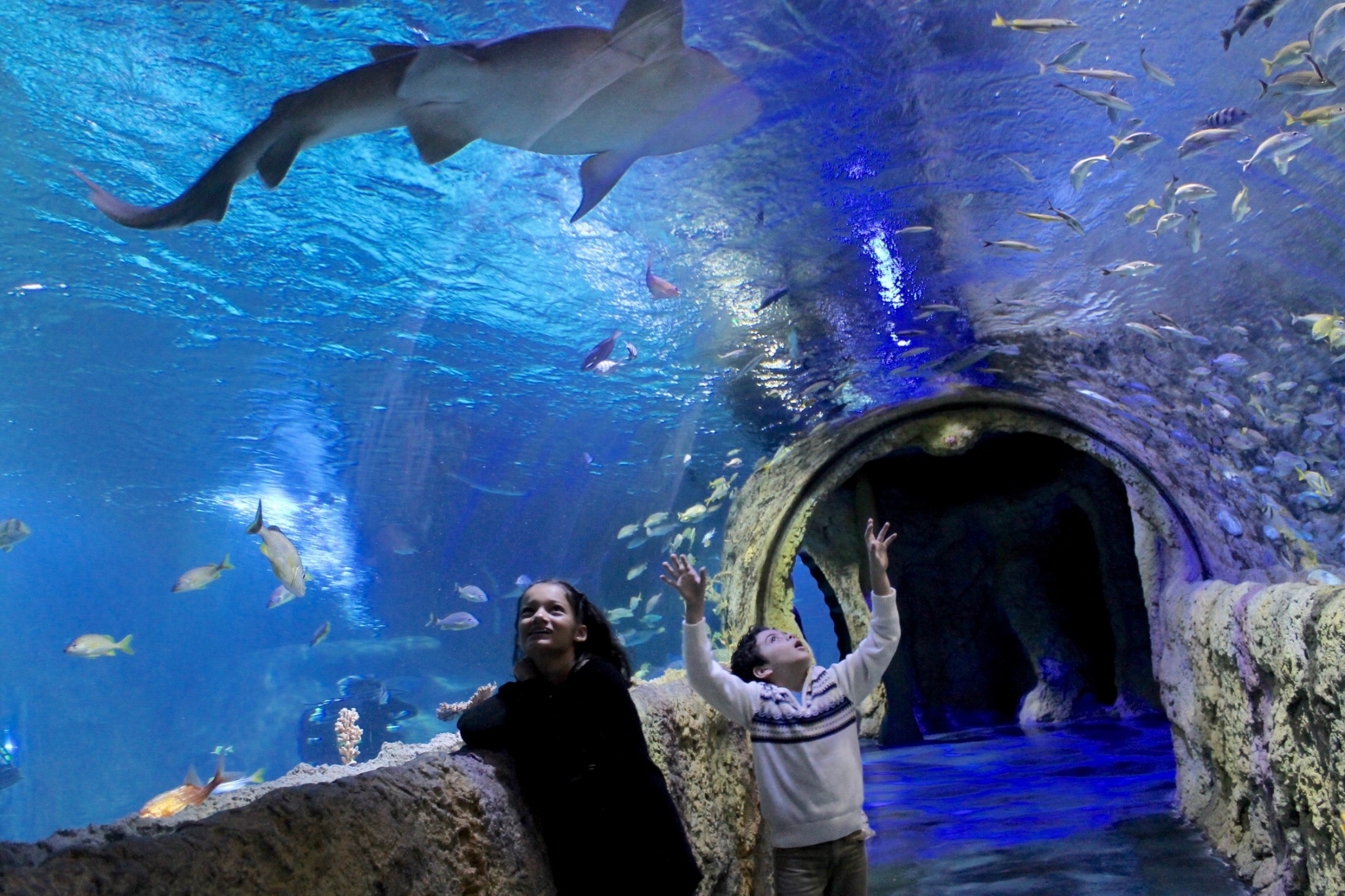 Sea Life Aquarium