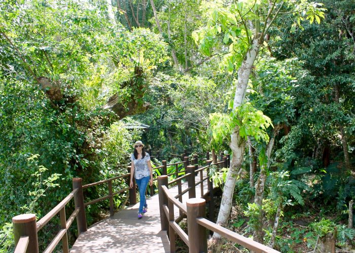 walkway along the jungle at Las Lagunas hotel Guatemala