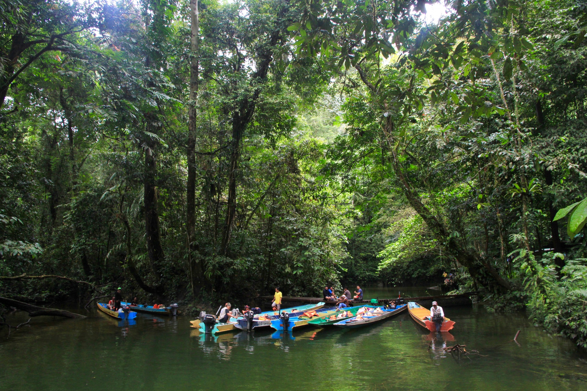 Malaysia forests