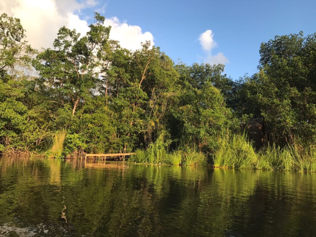 Rio Dulce Guatemala