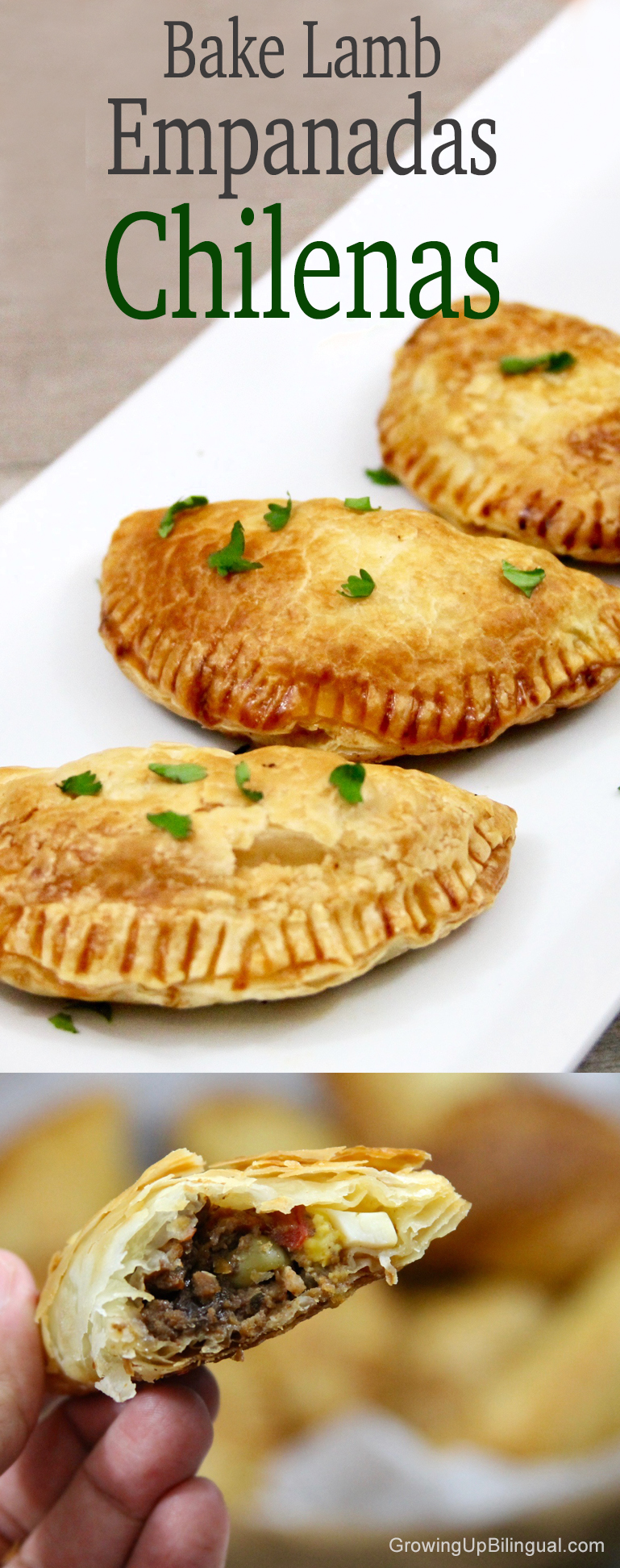 Baked Lamb Empanadas Chilenas