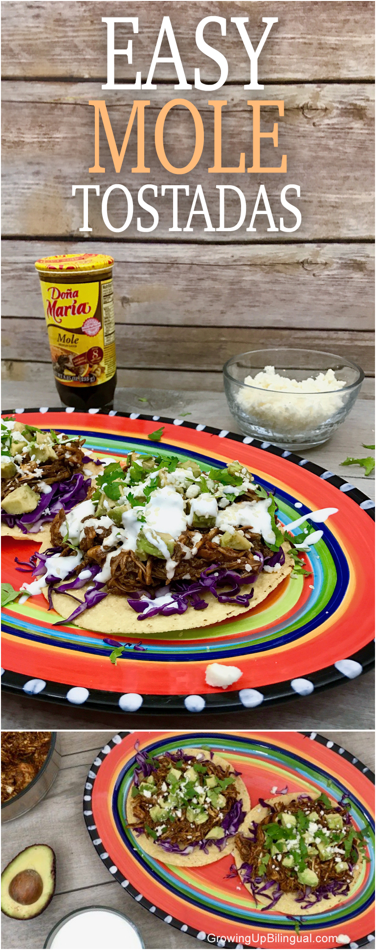 Quick And Easy Mole Tostadas