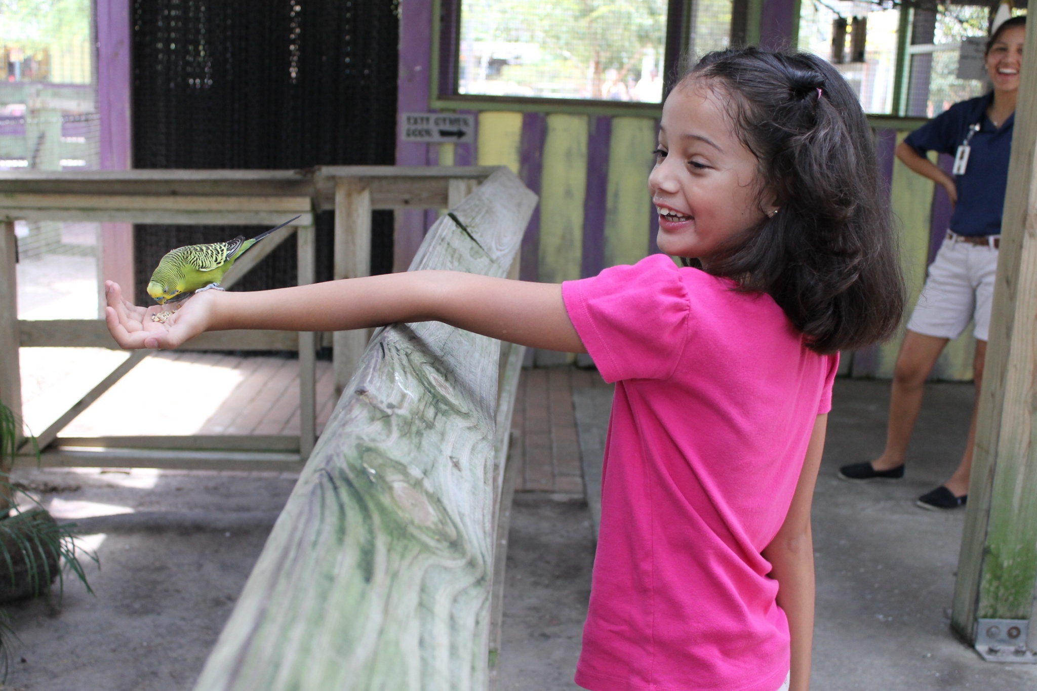 feeding lorikeets at the Lowry Park Zoo