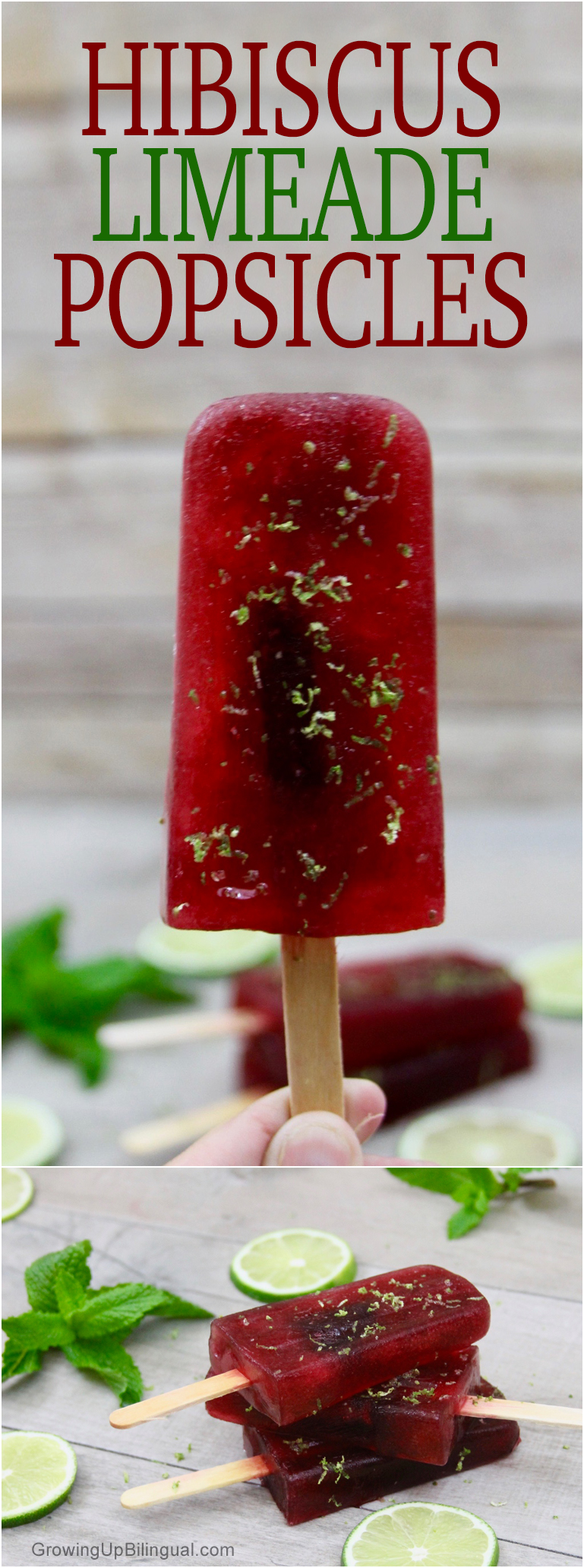 Hibiscus Limeade Popsicles