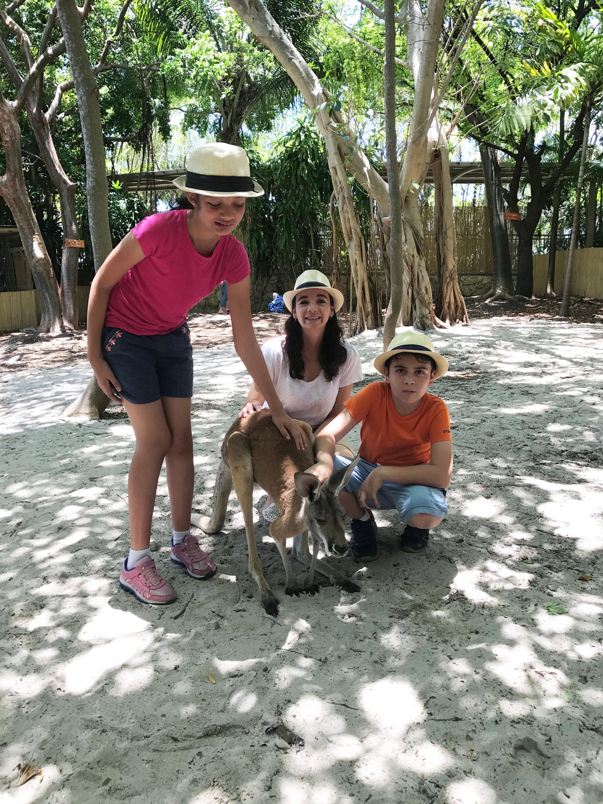 Petting kangaroos at Jungle Island