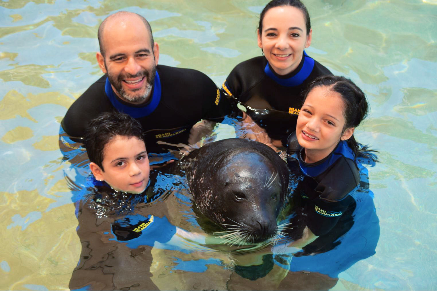 seal encounter at Miami Seaquarium