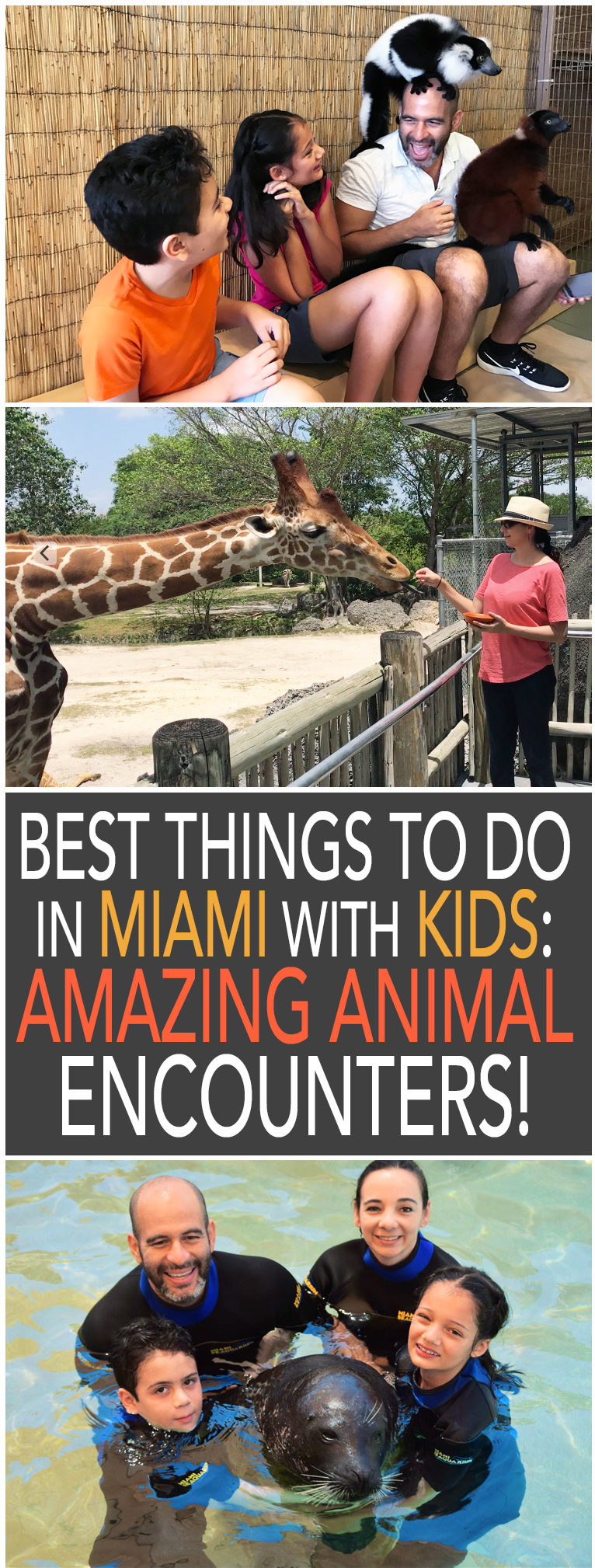 Best things to do in Miami