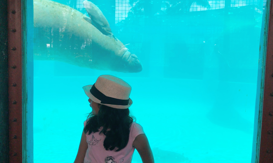 Miami Seaquarium