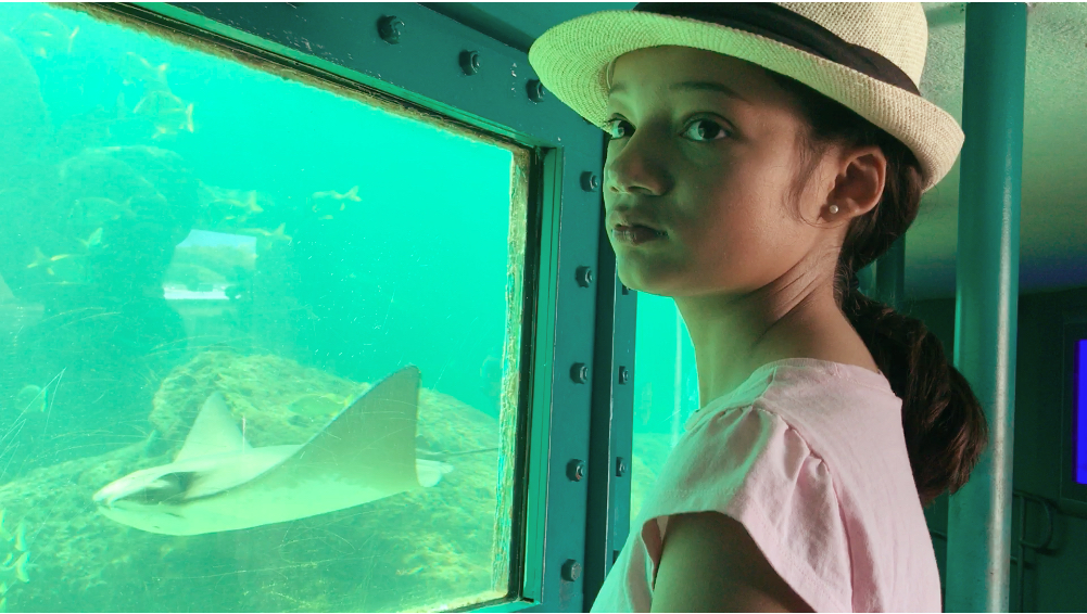 watching stingrays at Miami Seaquarium