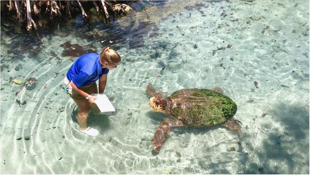 Miami Seaqurium