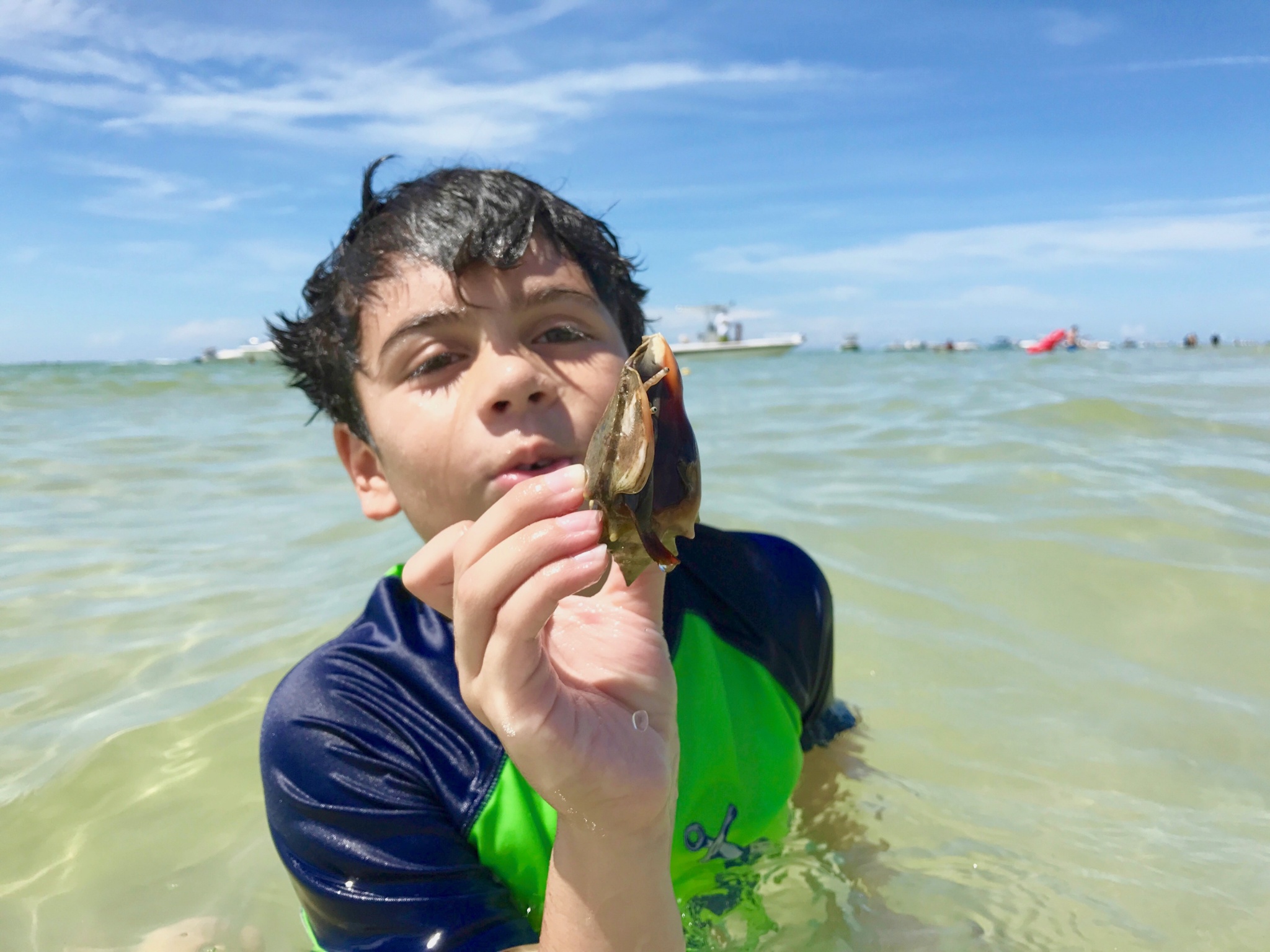 looking for shells at the beach