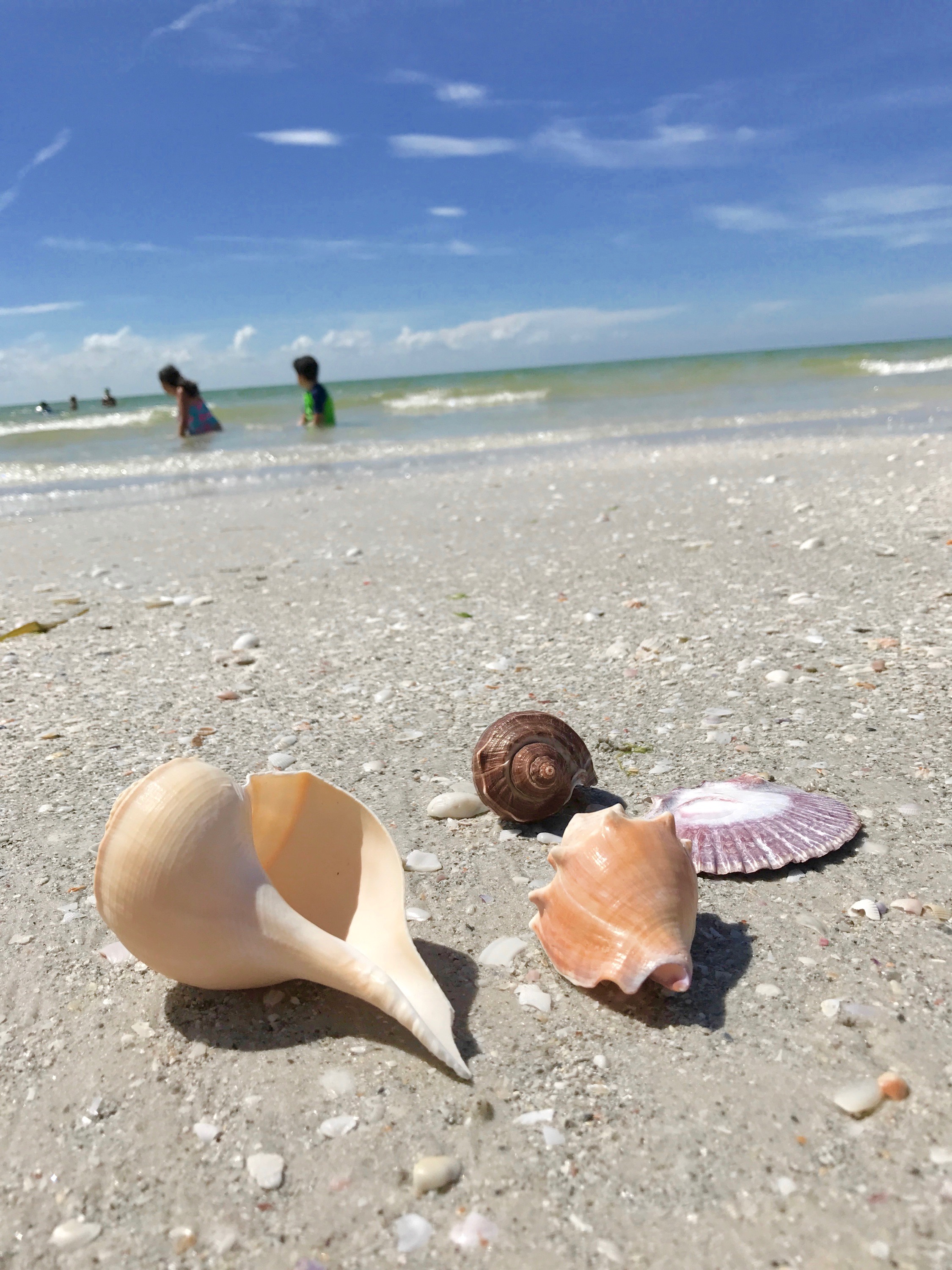 tips for a day at the beach