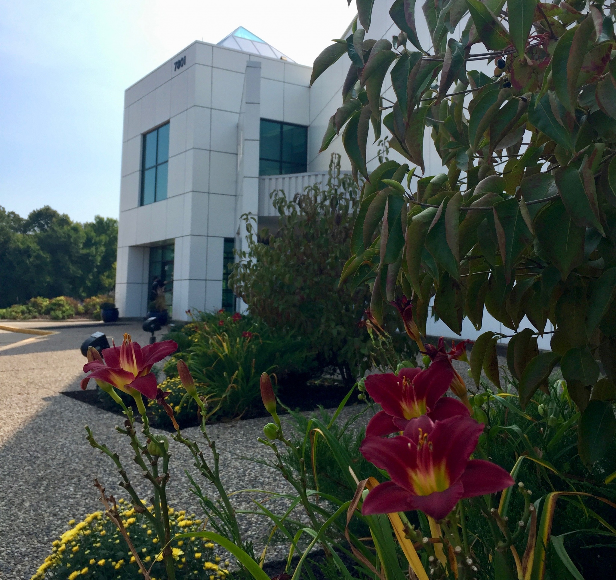 Paisly Park, Prince's home and recording studio