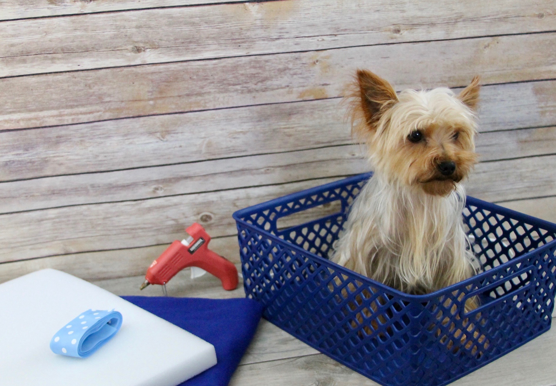 DIY Car Booster Seat For Your Dog