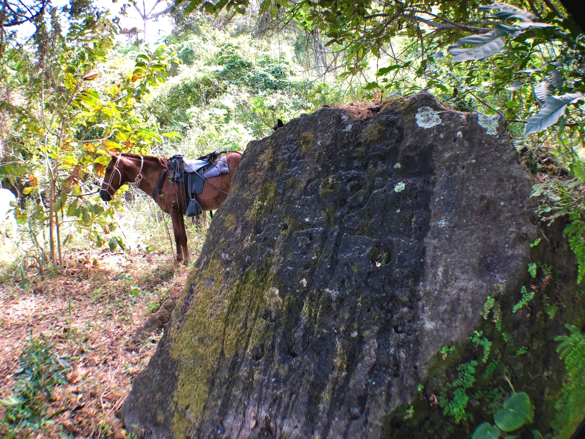 Petroglyph at Hacienda El Cenizaro Costa Rica