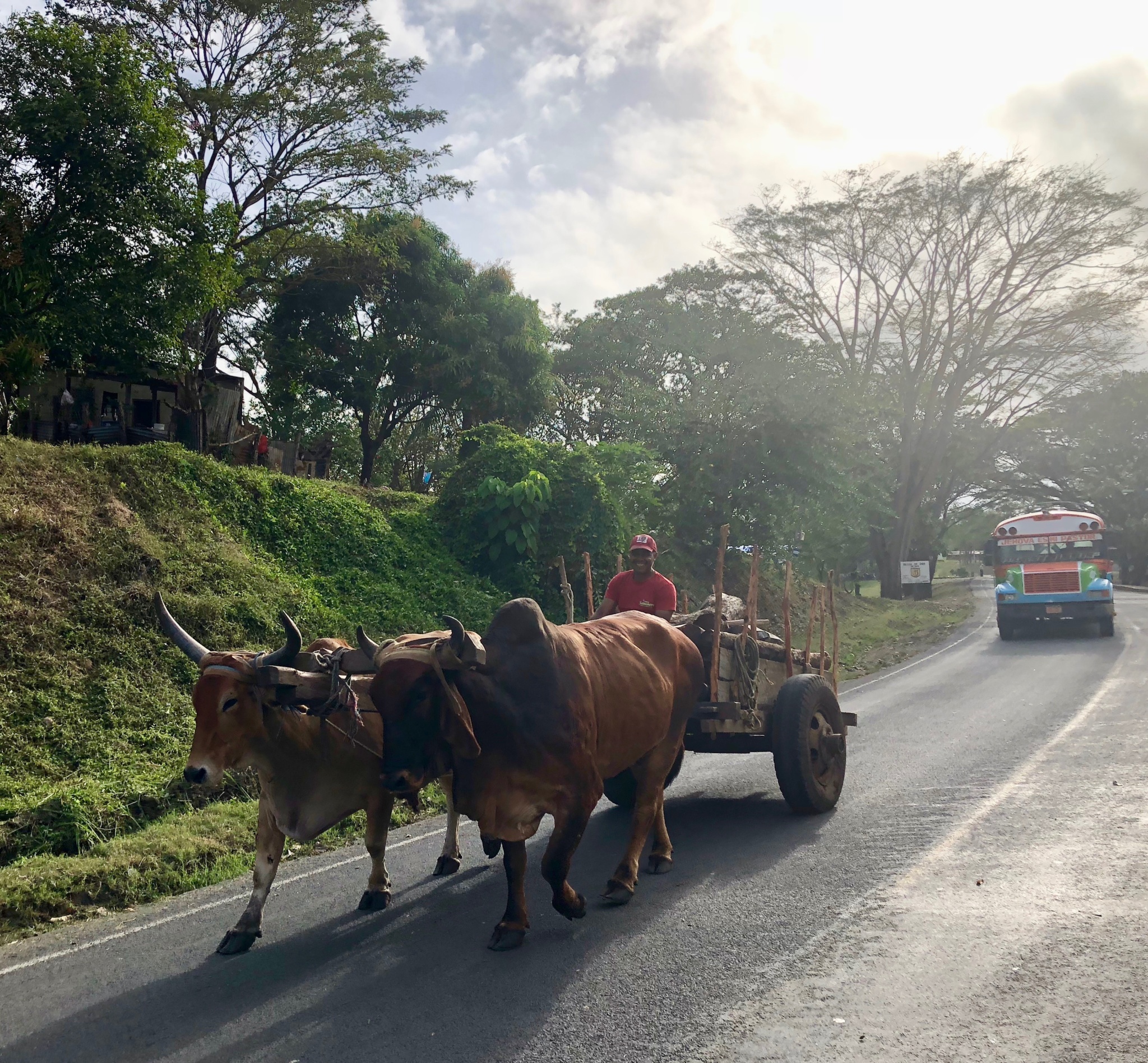 ox cart in Nicaragua