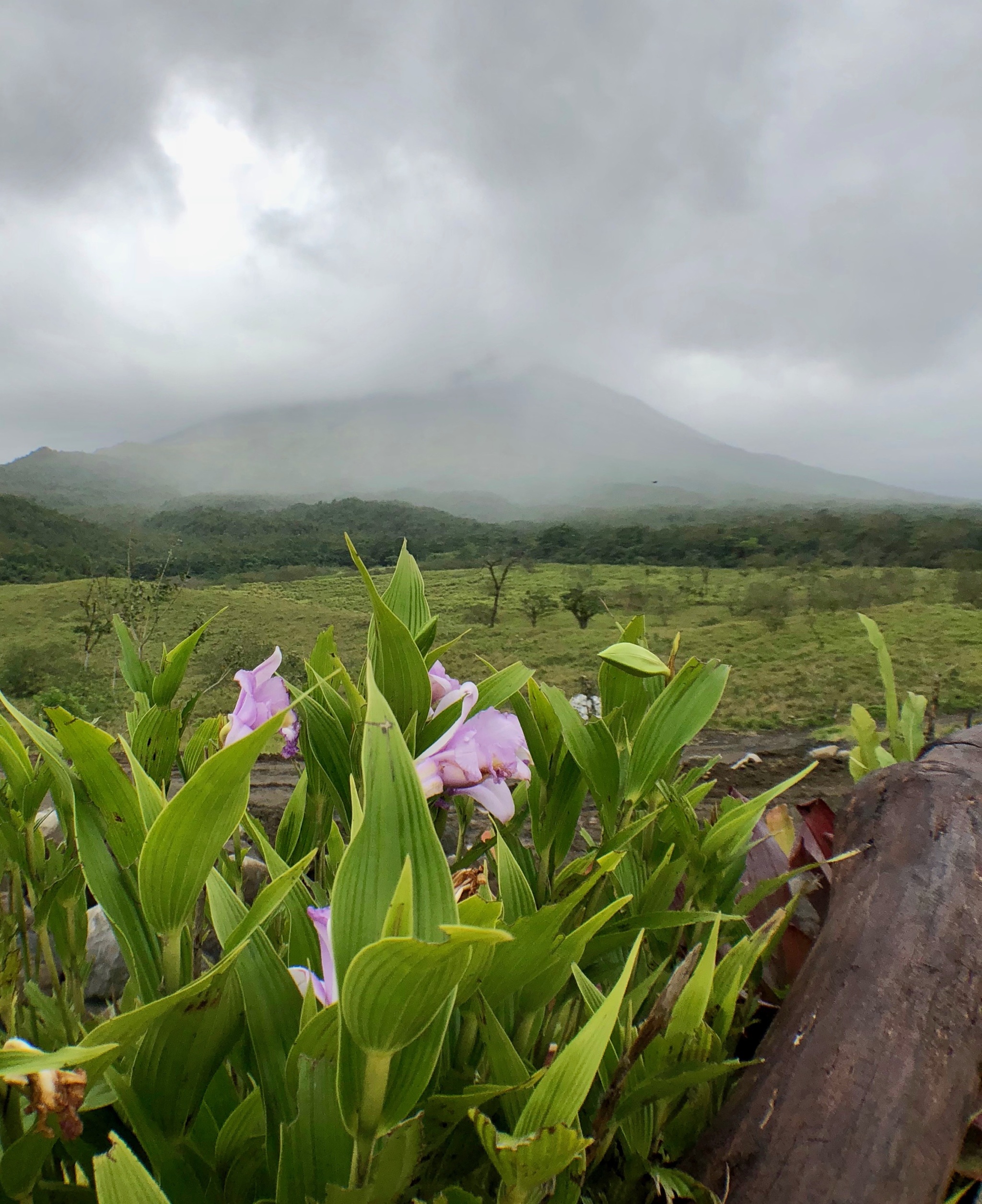 Arenal volcano covered by clouds