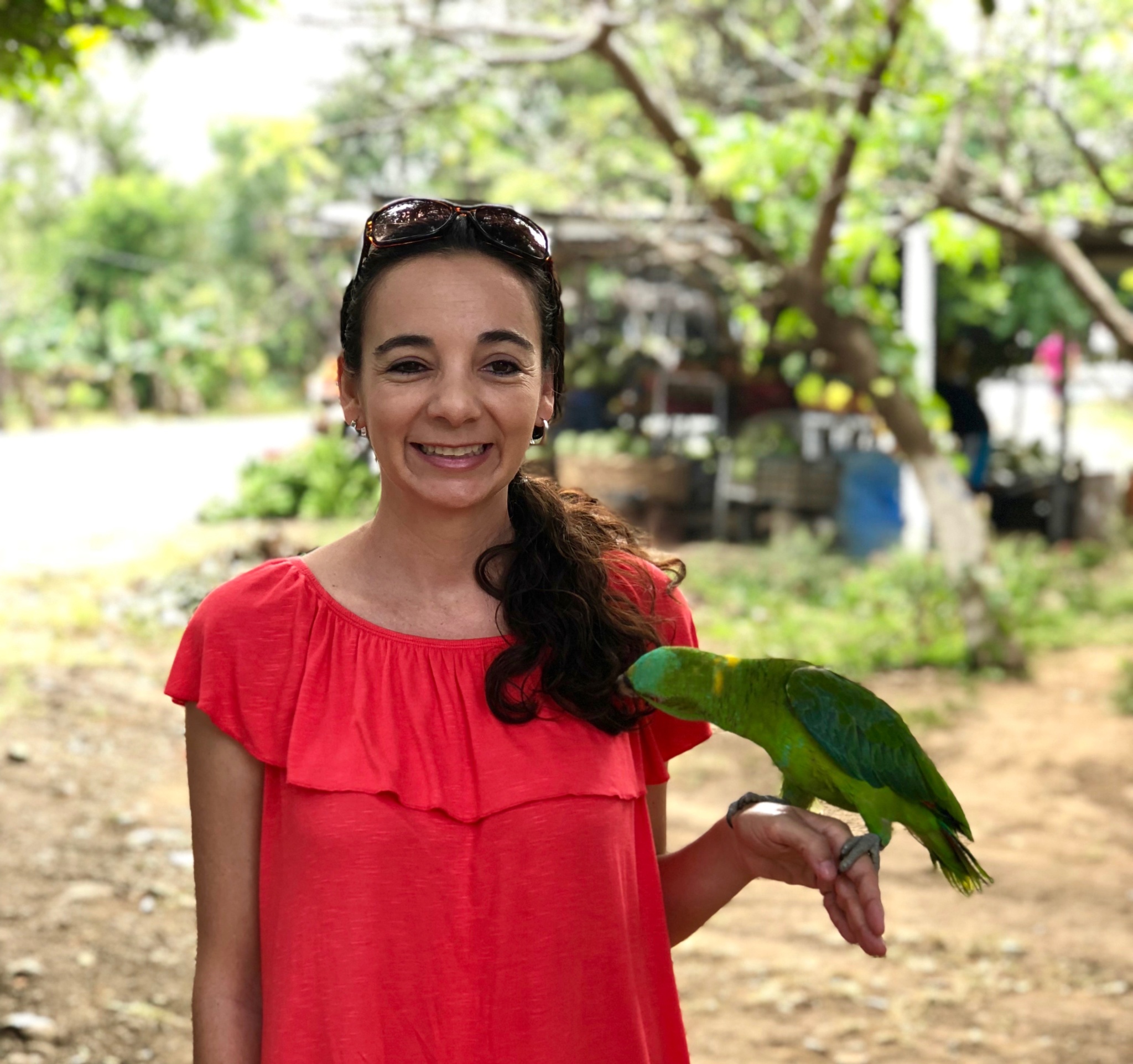 making friends with a local parrot