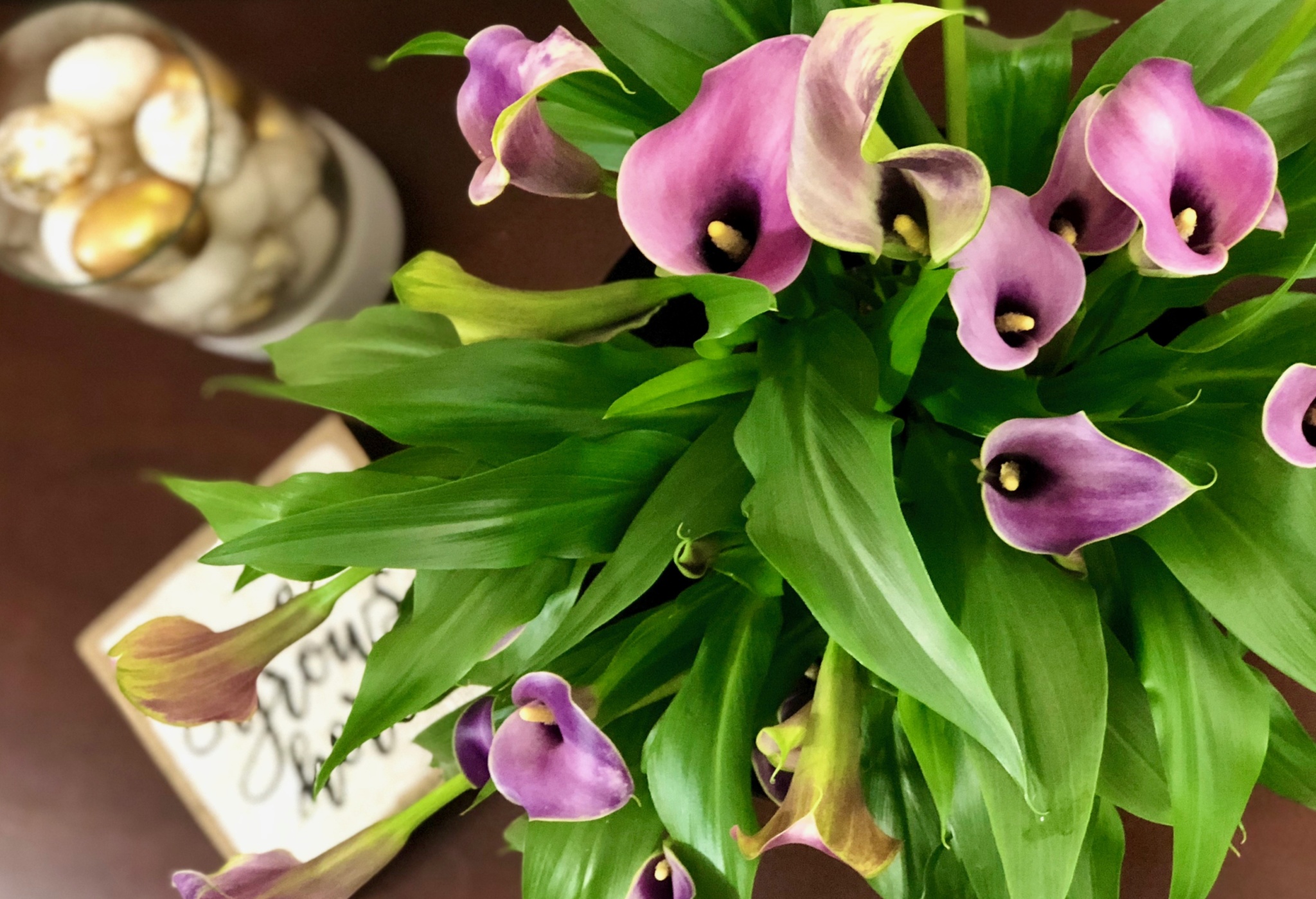calla lilies spring decor