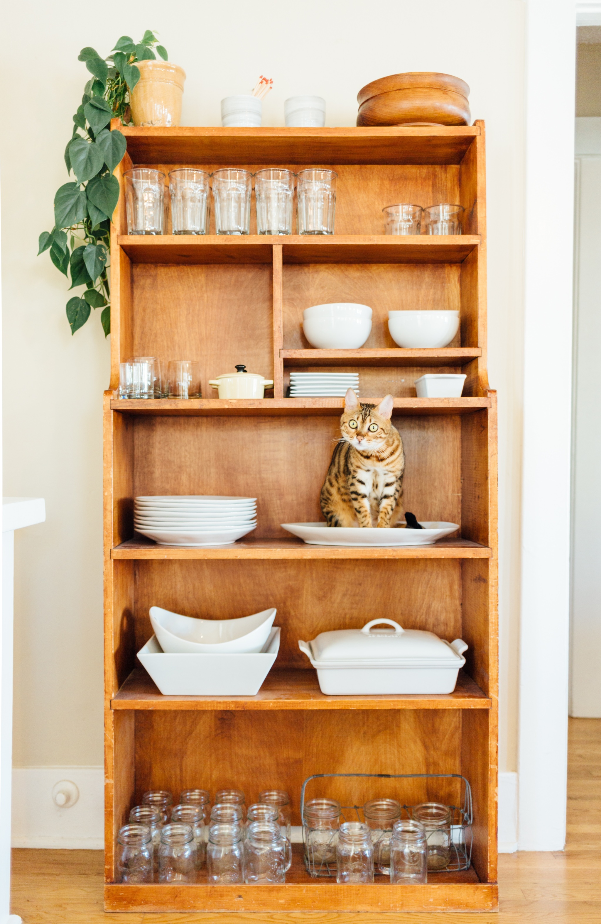how to style open kitchen shelves
