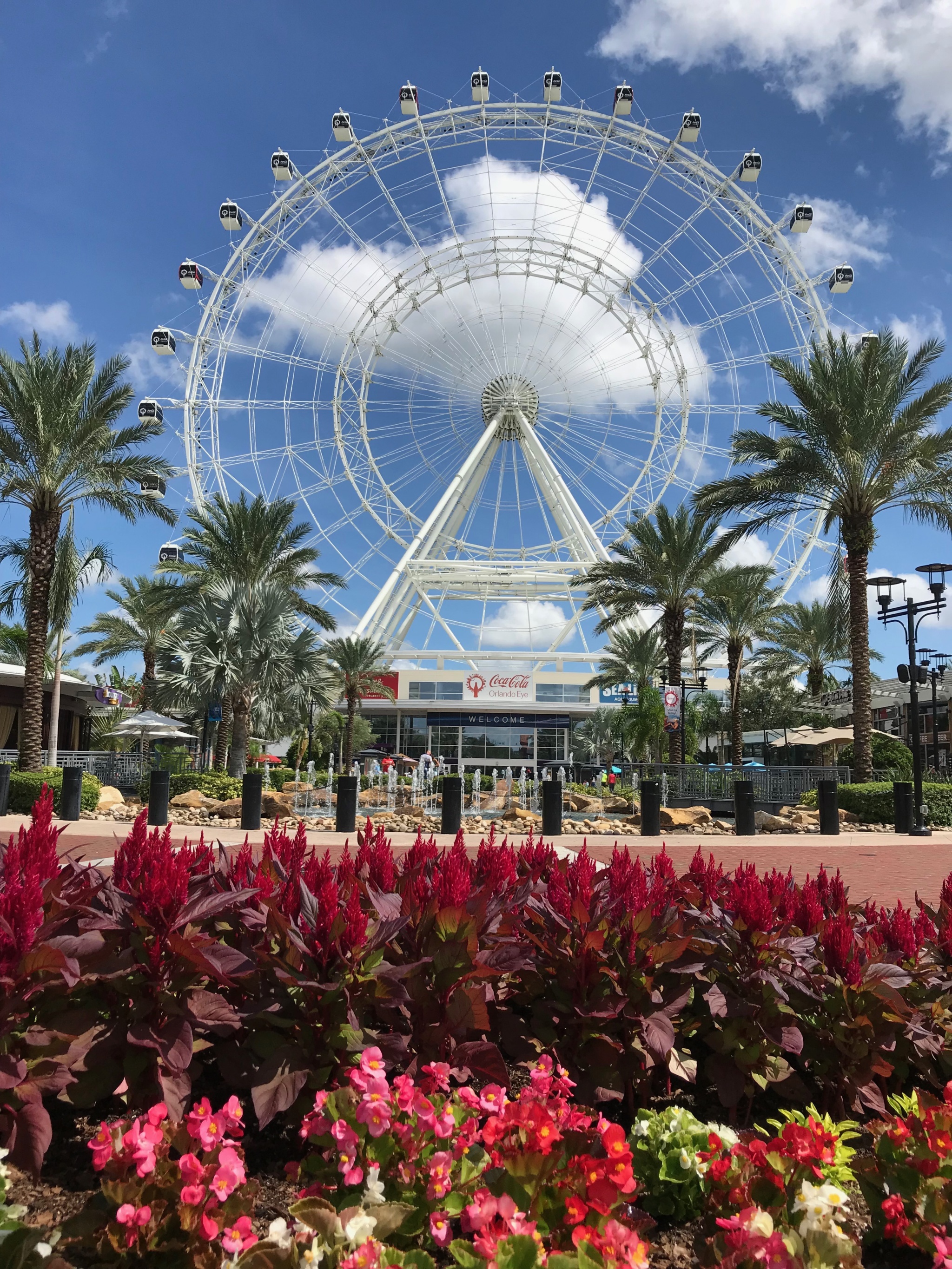 The Orlando Eye