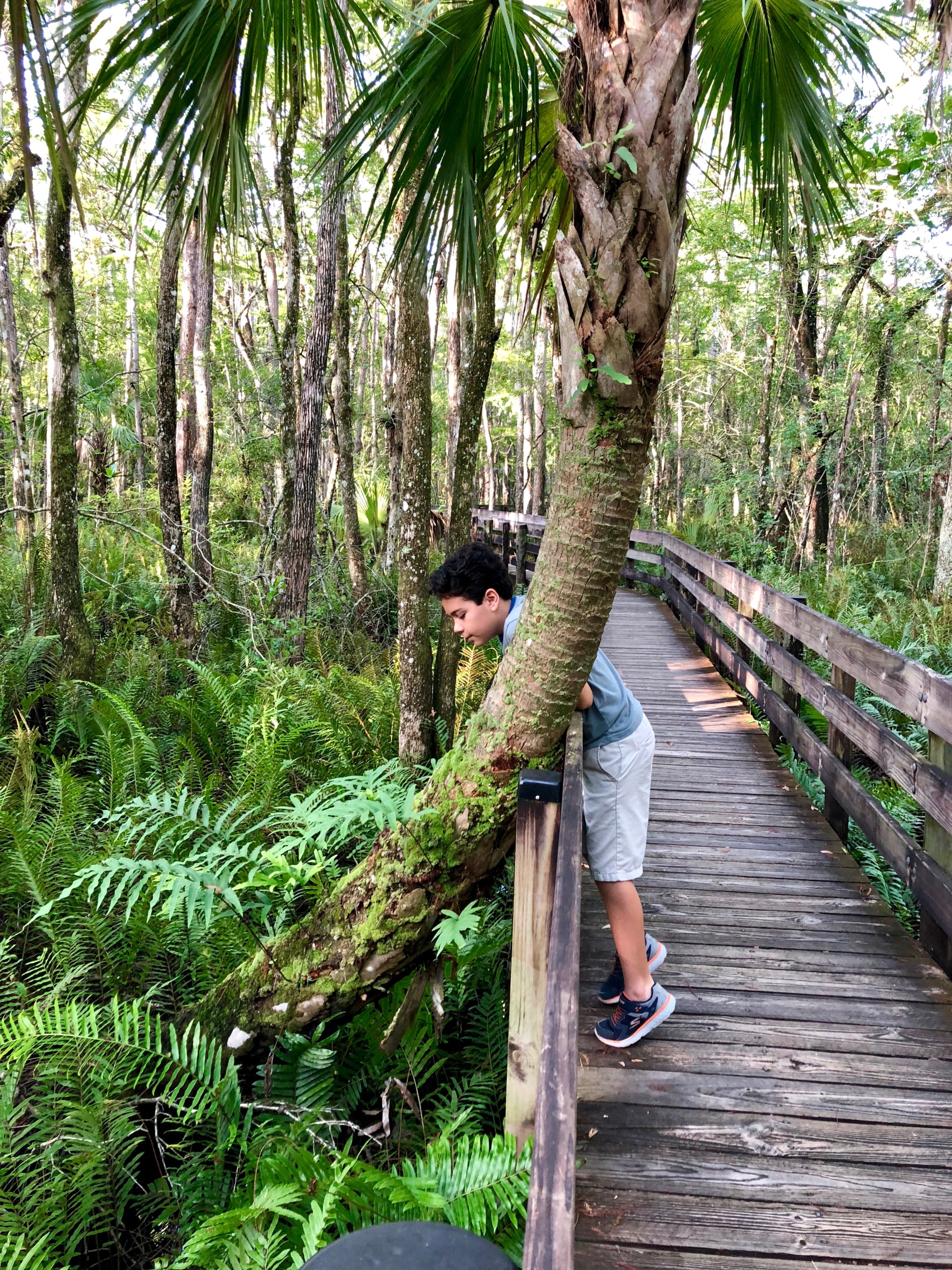 boy hiking