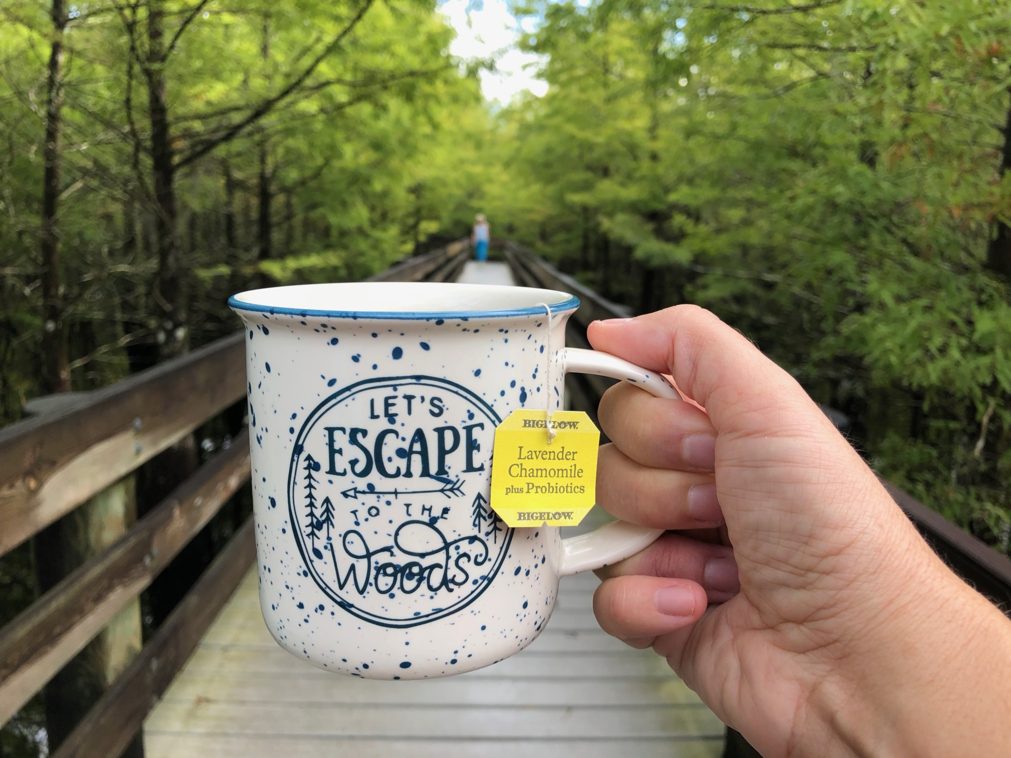 Bigelow tea outdoors