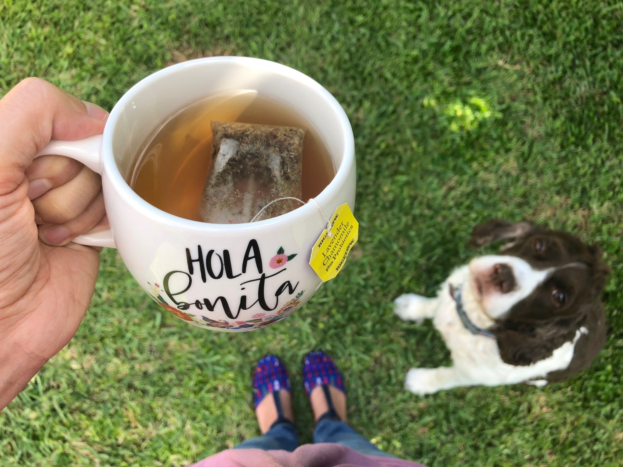 tea cup outdoors with dog