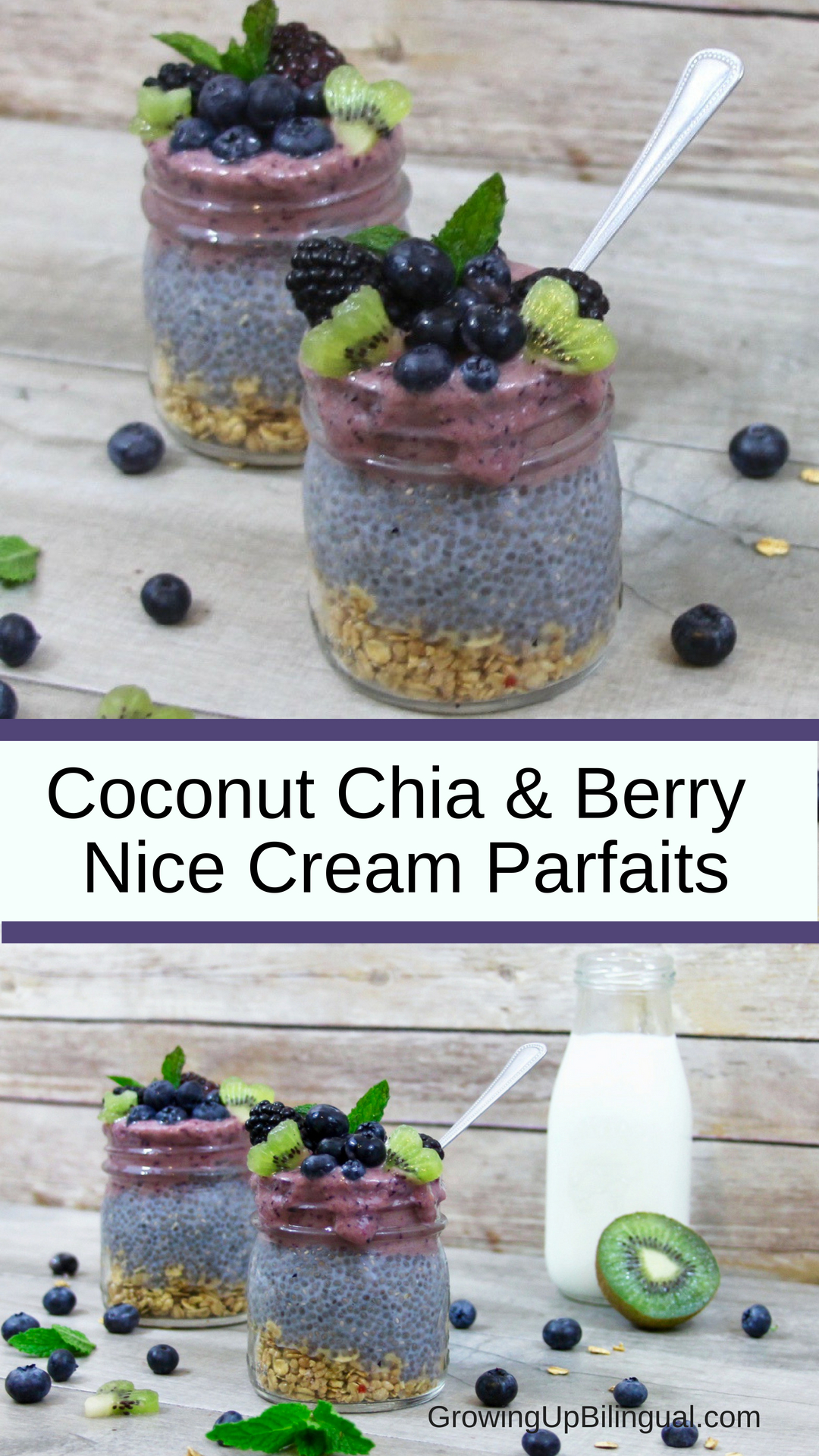 Nutritious Coconut Chia and Berry Nice Cream Parfaits