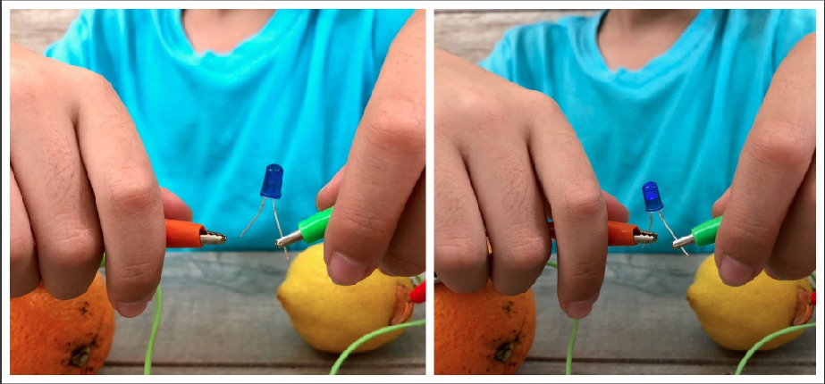 Fruit Battery and Other Fun Hands-On STEM Projects for Kids