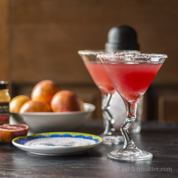 Blood Orange Margaritas plus 10 Fantastic Cocktails for Your Day of the Dead Celebration